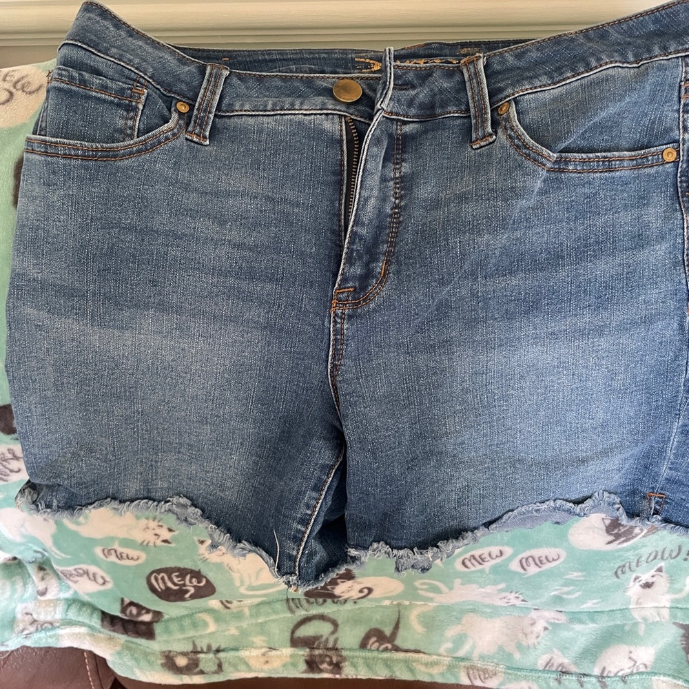 Seven7 Medium Blue Denim Cutoff Shorts